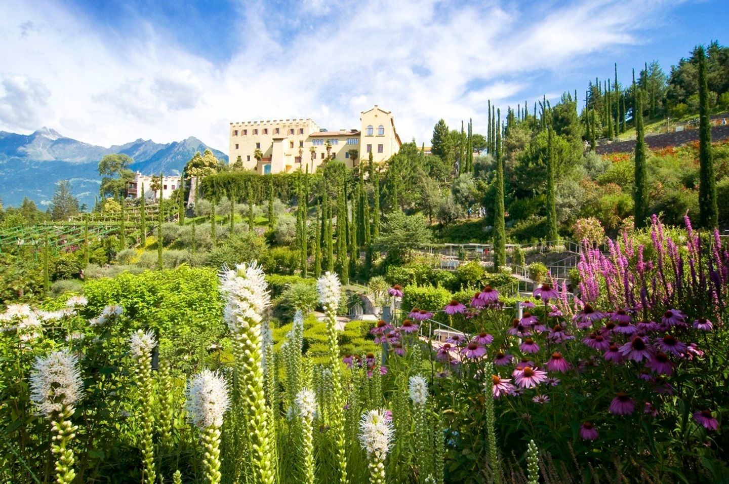 The Gardens of Trauttmansdorff Castle image