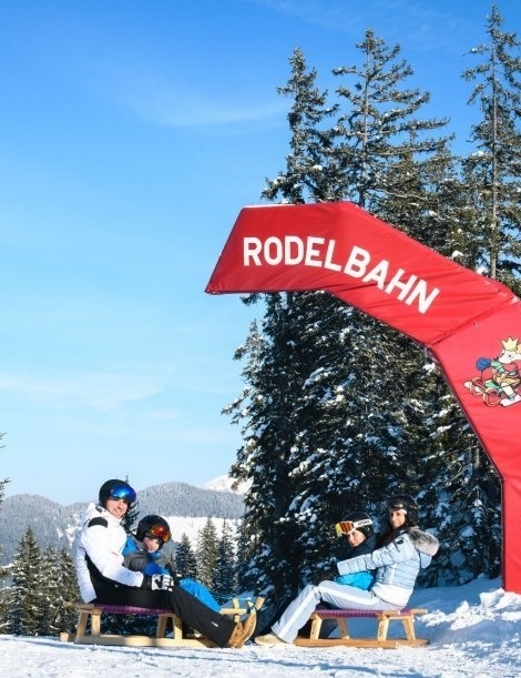 Rodelbahn Königslehen