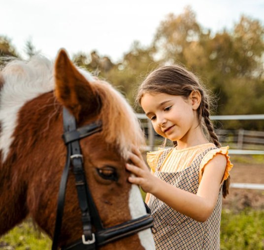Trip to the riding stables