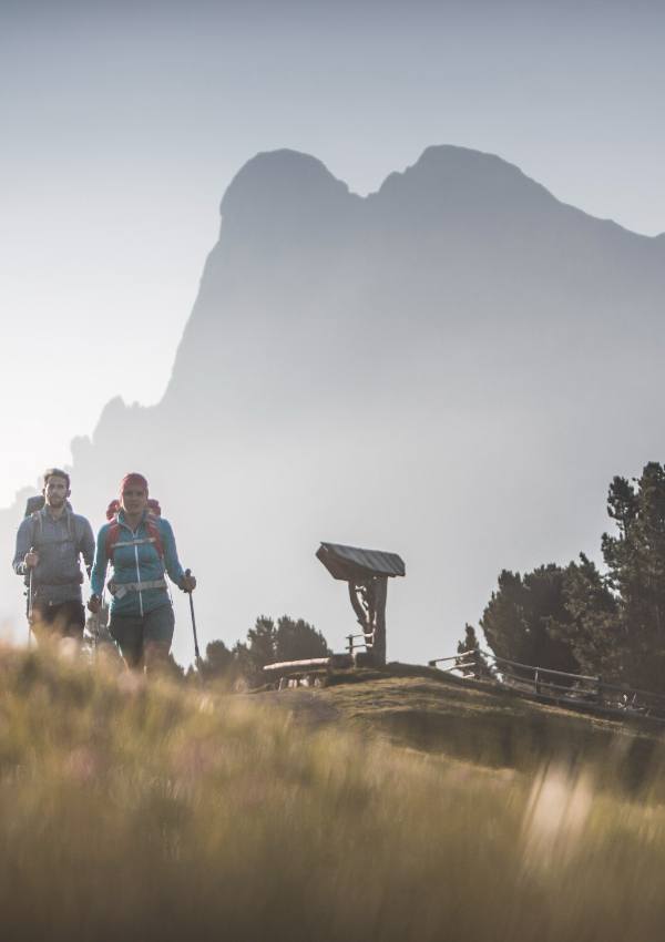 * Leichte Wanderung zur Pertinger Alm mit Sonja