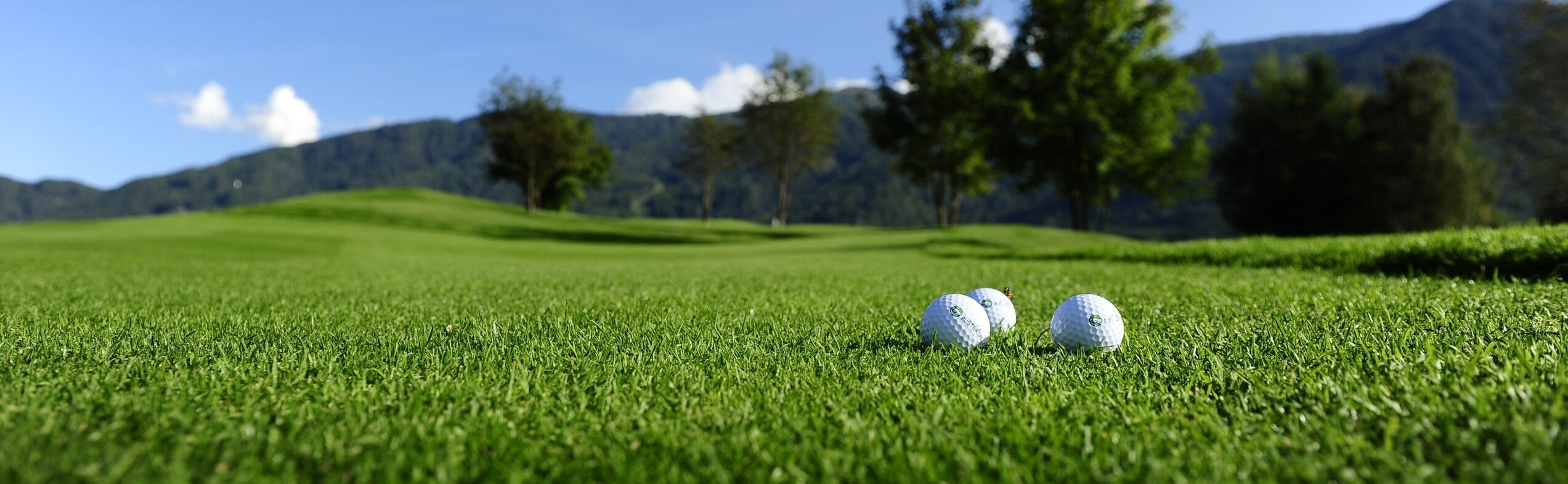 HCP HOCKEY WOLF MEETS GOLF