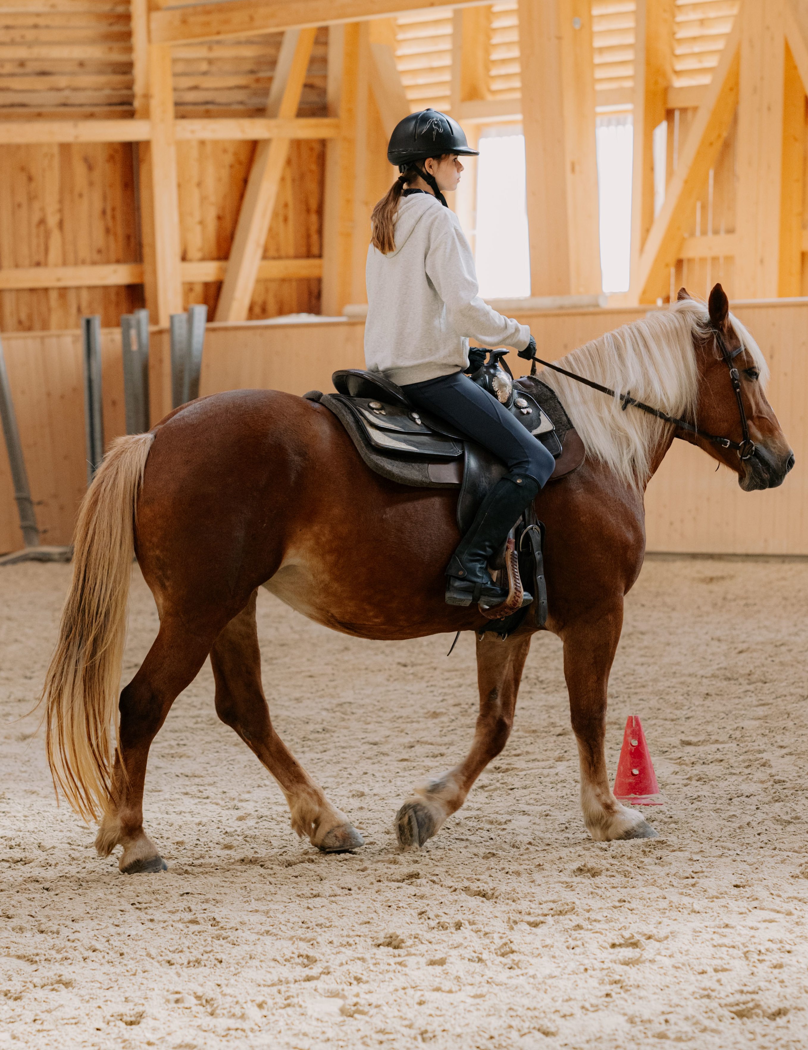 Individual riding lesson for children from 6 years and adults