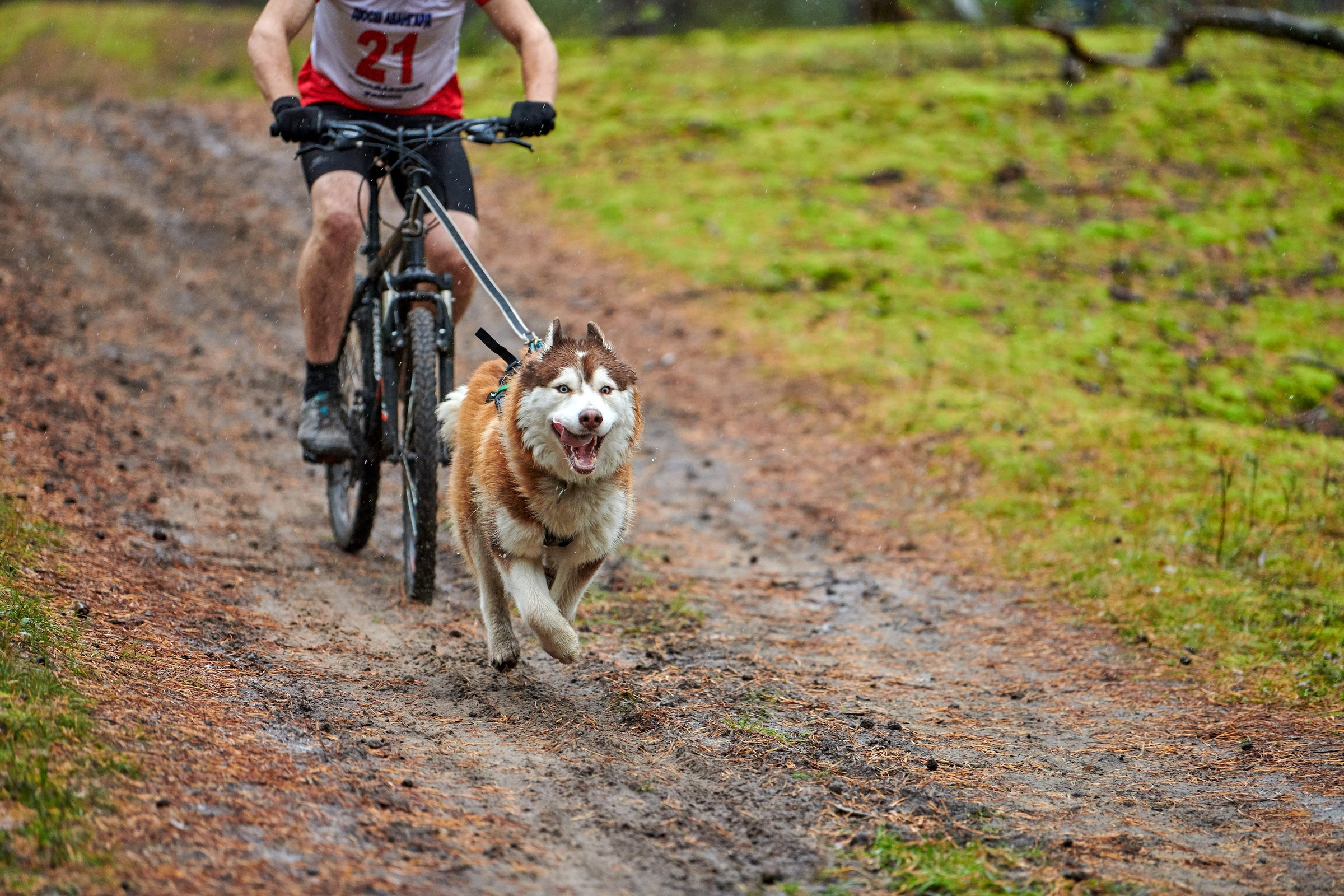 Bikejoring with Jörg 