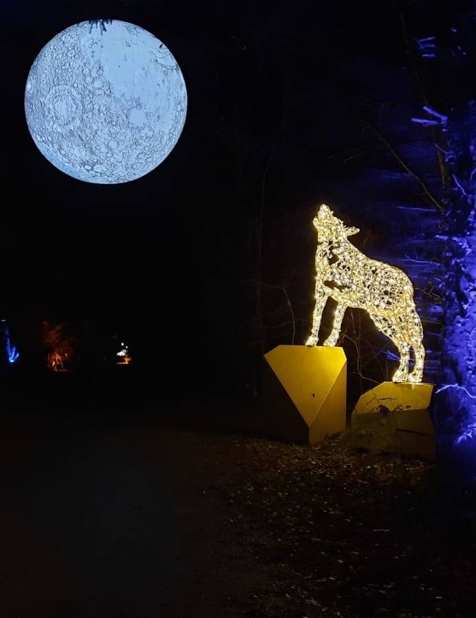 Lumagica - the magical park of lights