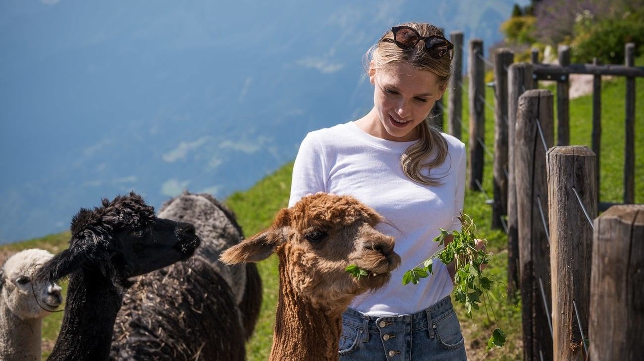Small llama hike with Tamara