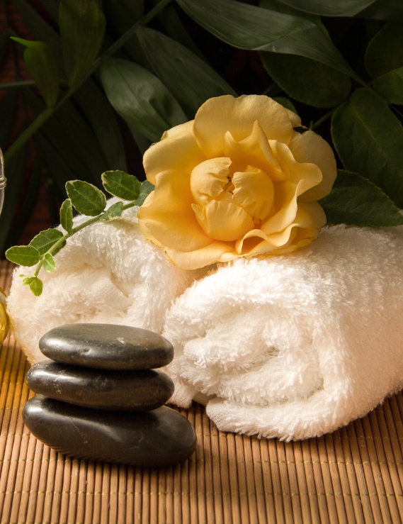 Wellness-Kit