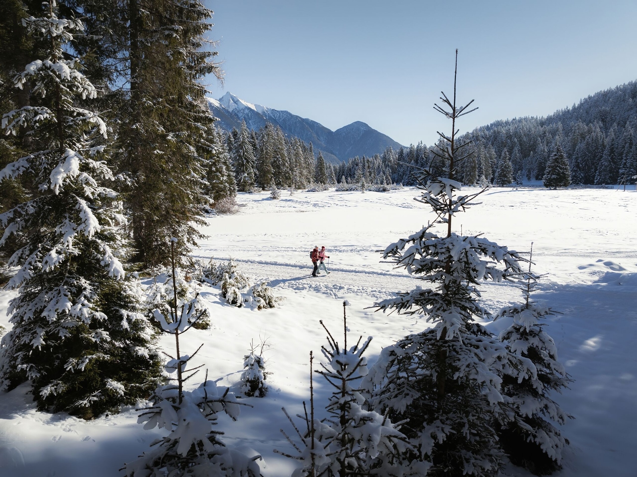 Snowshoe hike up the Brunschkopf