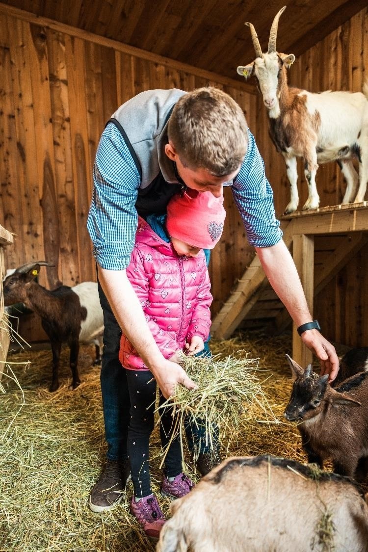 Feeding small animals