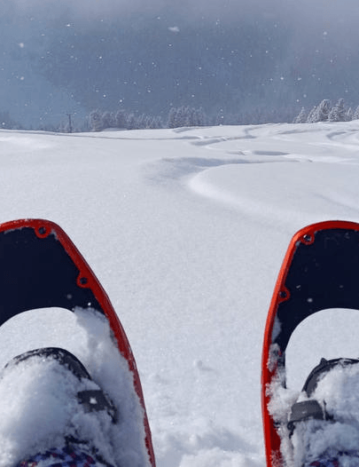 Snowshoe hike