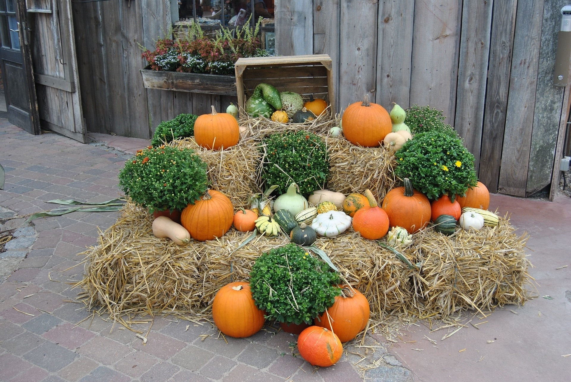 Predinger pumpkin festival
