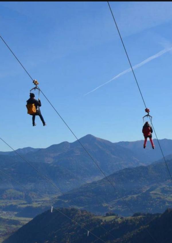ZIP-Line