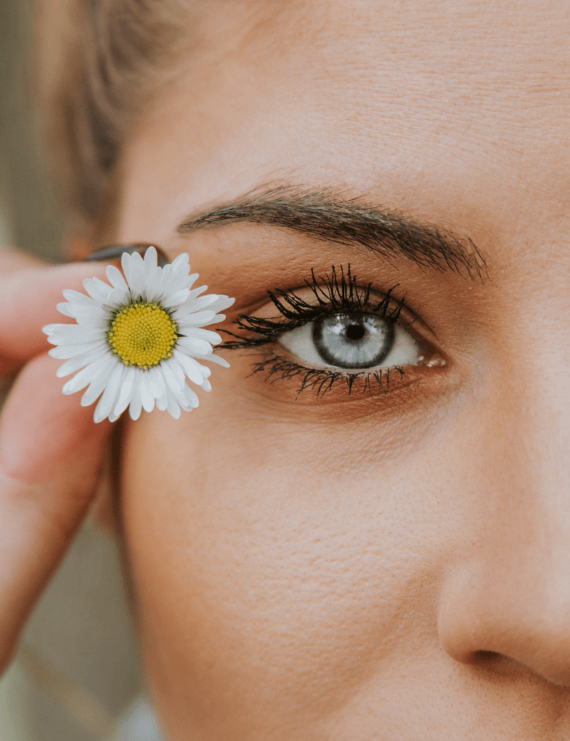 Brows & Eyelashes