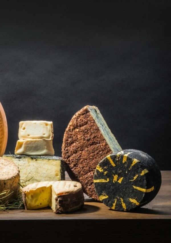 Geführte Käse DEGUSTationen 