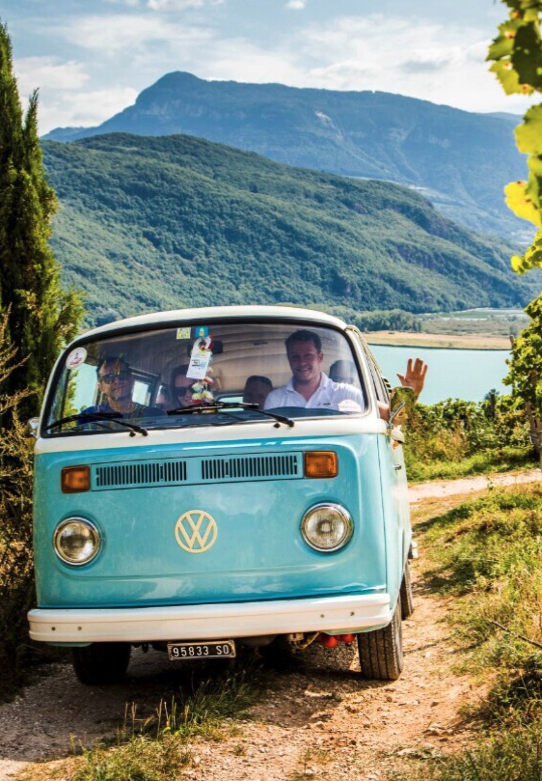 Wine tour with oldtimer VW Bulli