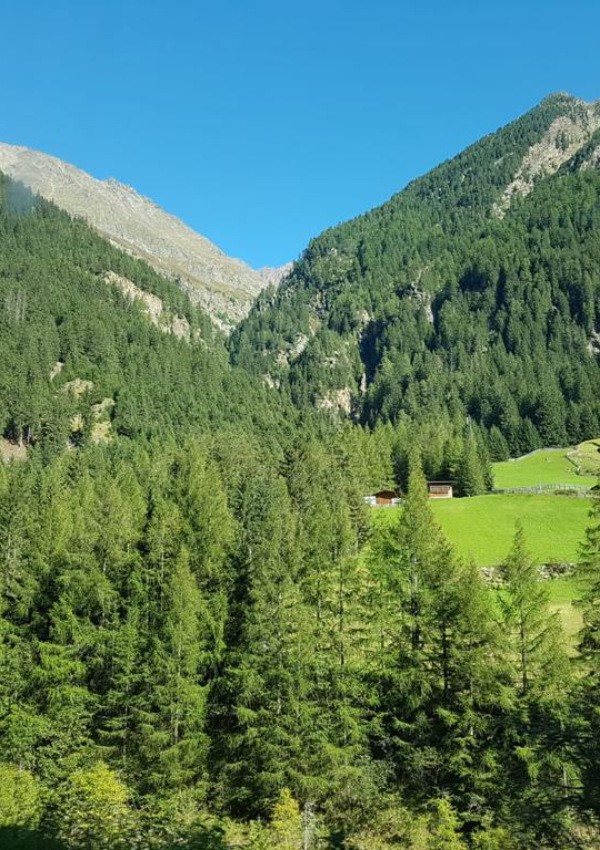 My hiking recommendation: Alpengasthof Feuerstein