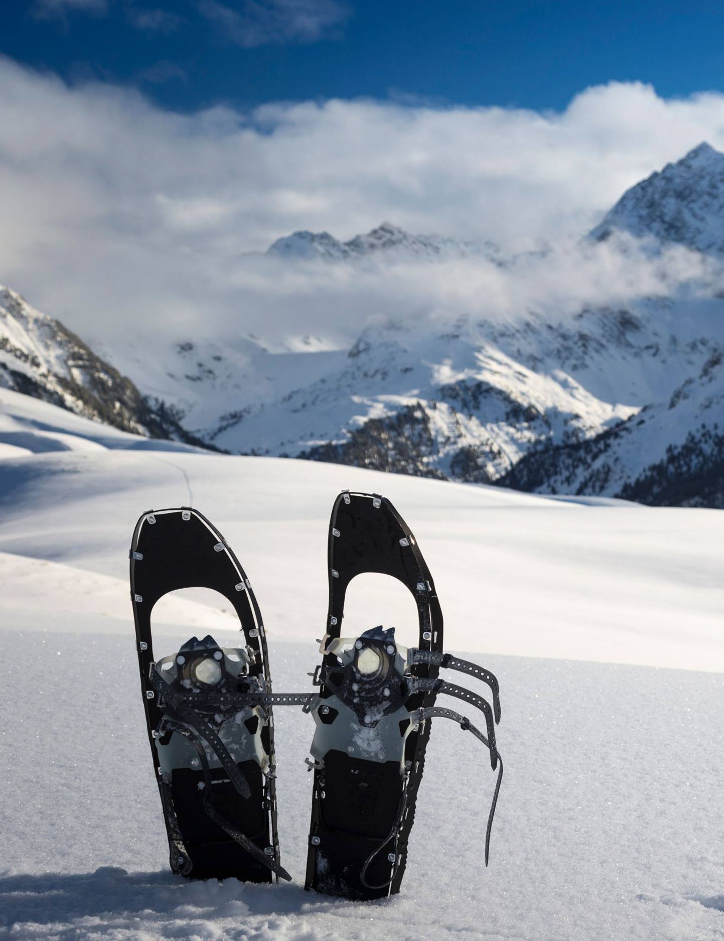 Free snowshoe rental