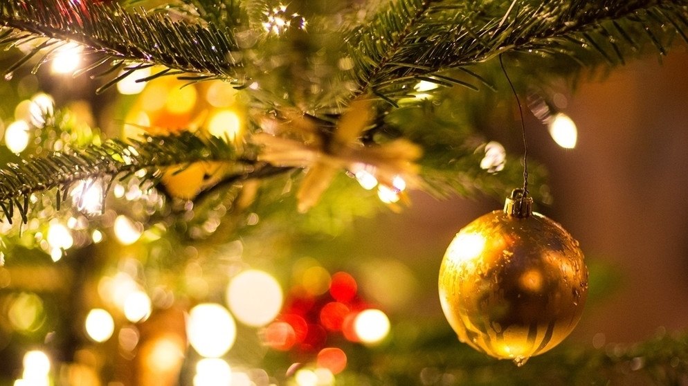 Happy & Pletzi celebrate Christmas