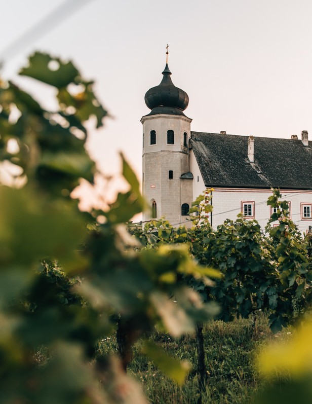 Frühstück in den Weinbergen