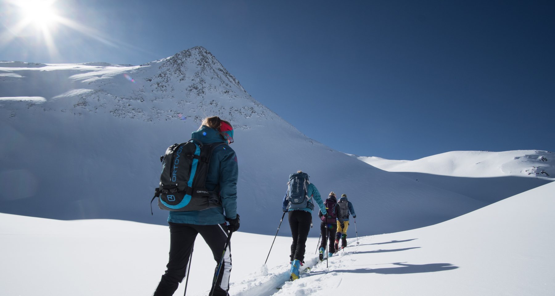 Snow Report National Park Region
