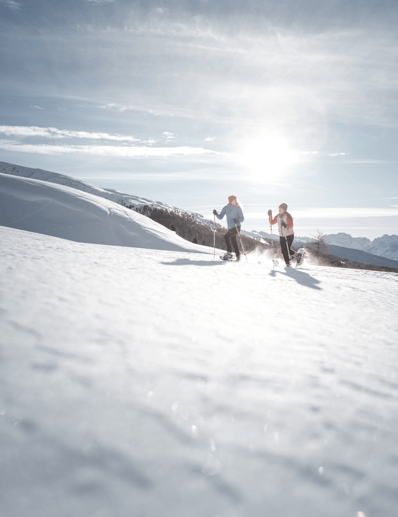 * Winter excursion at the Niedristhof above Perca with Sonja