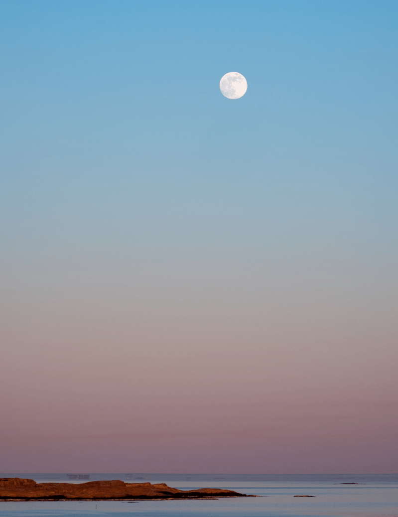 Swimming under the full moon