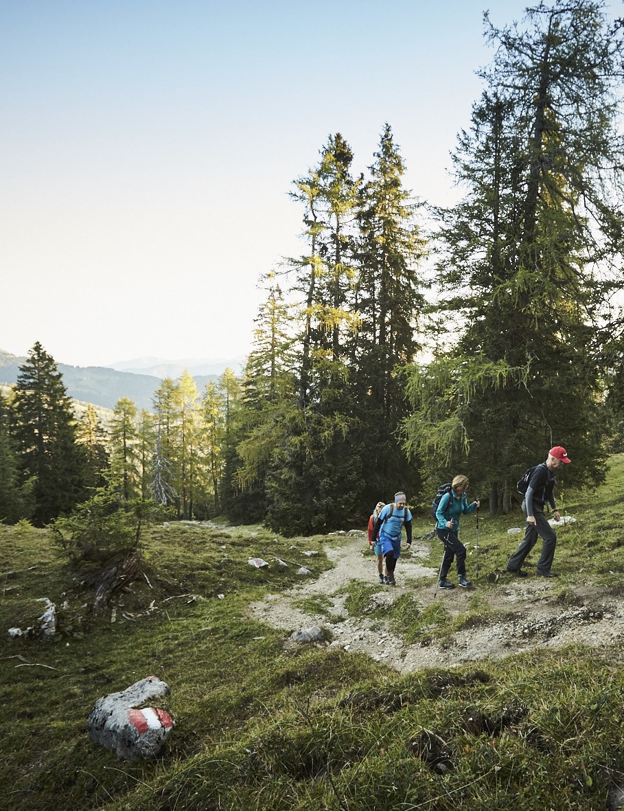 Panoramawanderung Astenau Alpe