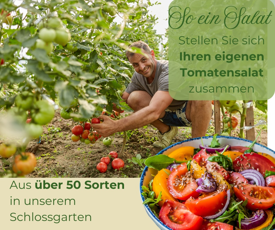 Tomatenfest im Schloss Krugsdorf 