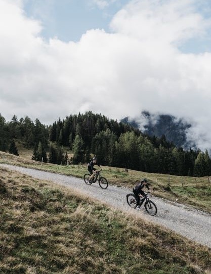 E- Bike Tour to the Hallmoos,