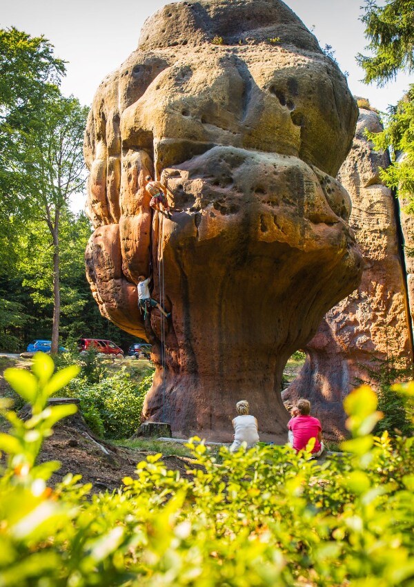 Steinzoo