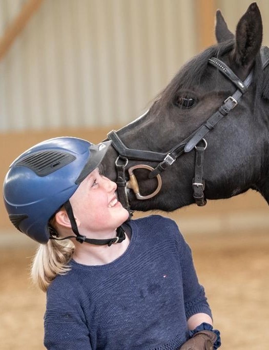 Pony ABC