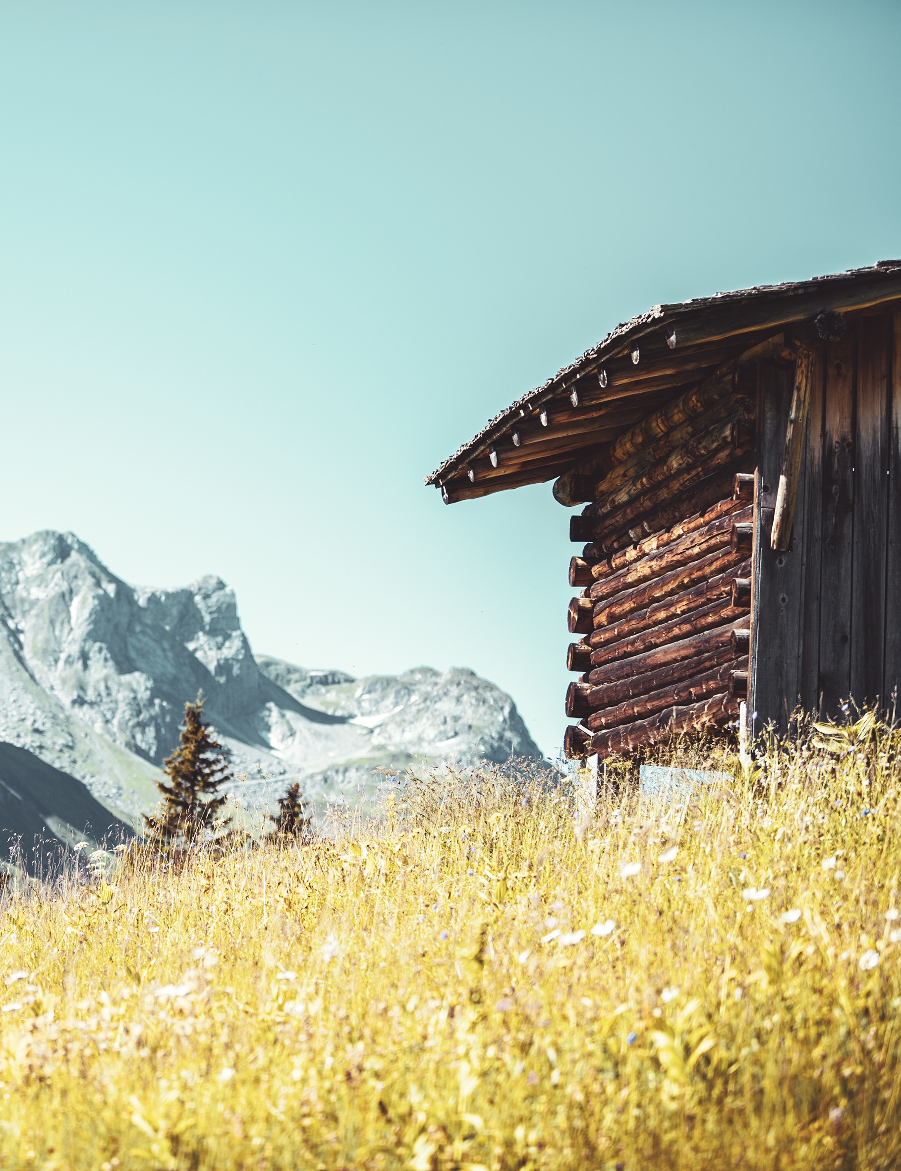Easy hike with Maria: Oberlech - fish pond - train