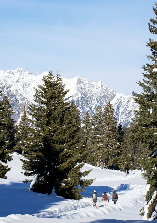 Winter hiking tour to the most beautiful alpine pasture of the Dolomitess image