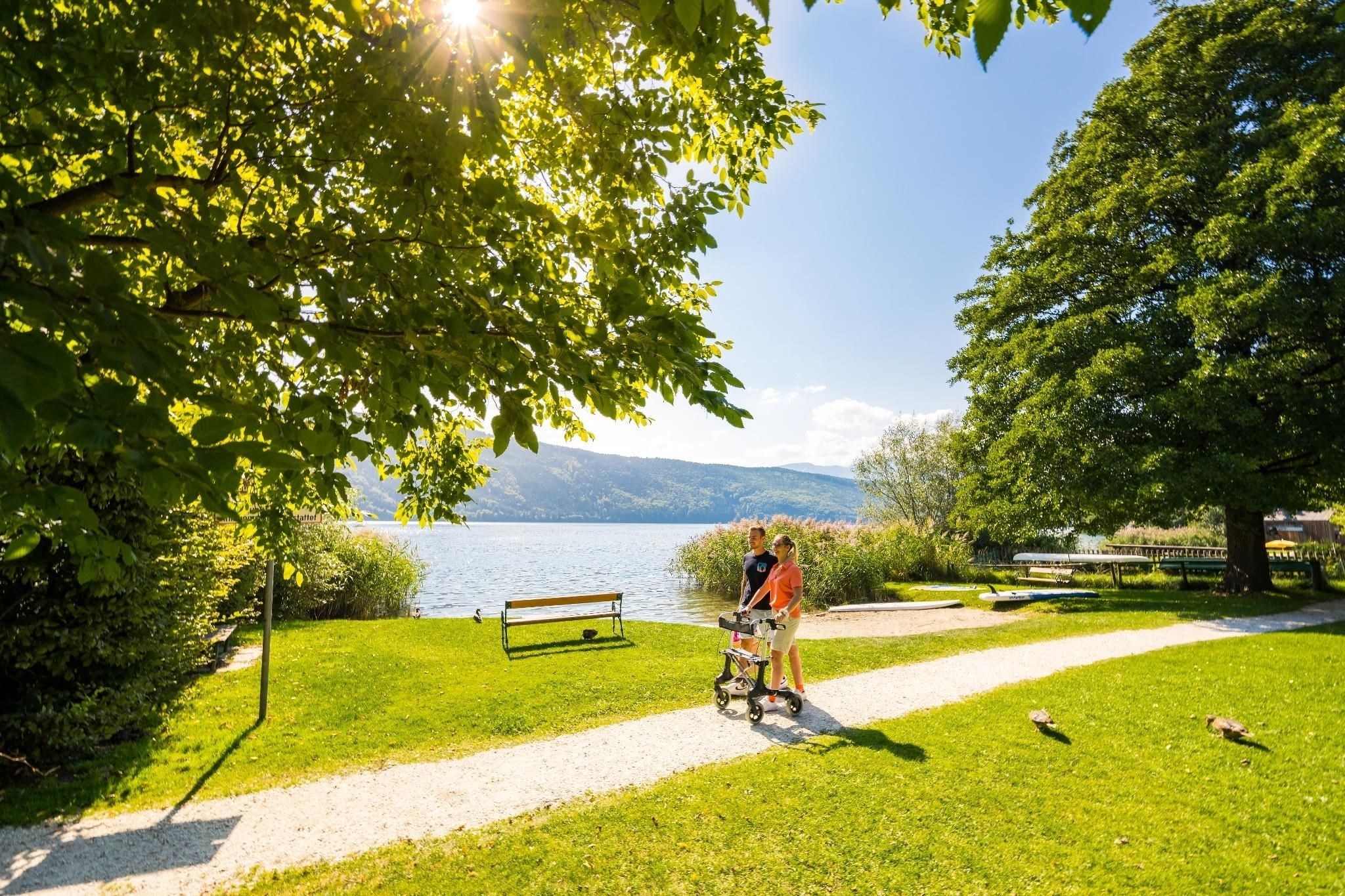 Kräuterkunde am See - Geführte Wanderung