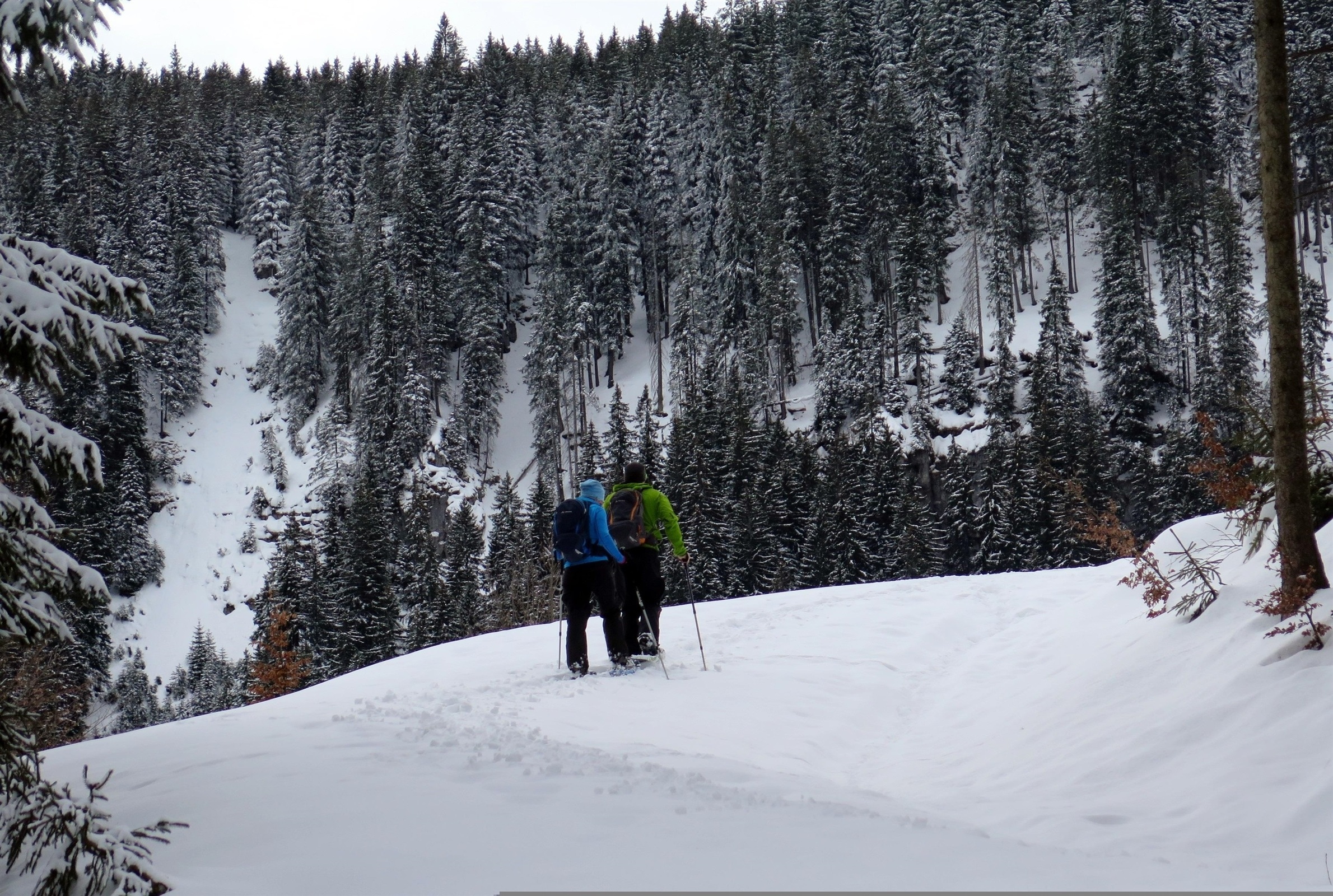 Schneeschuhwanderung