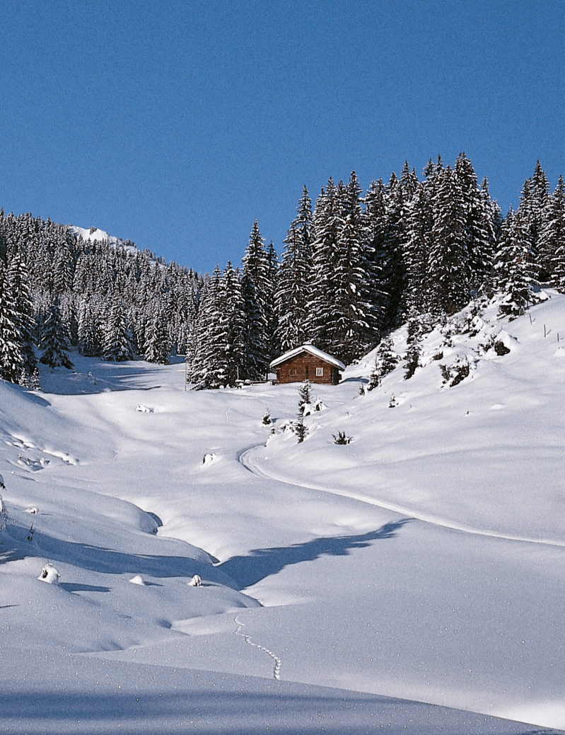 Rodeln auf der Silvretta Bielerhöhe