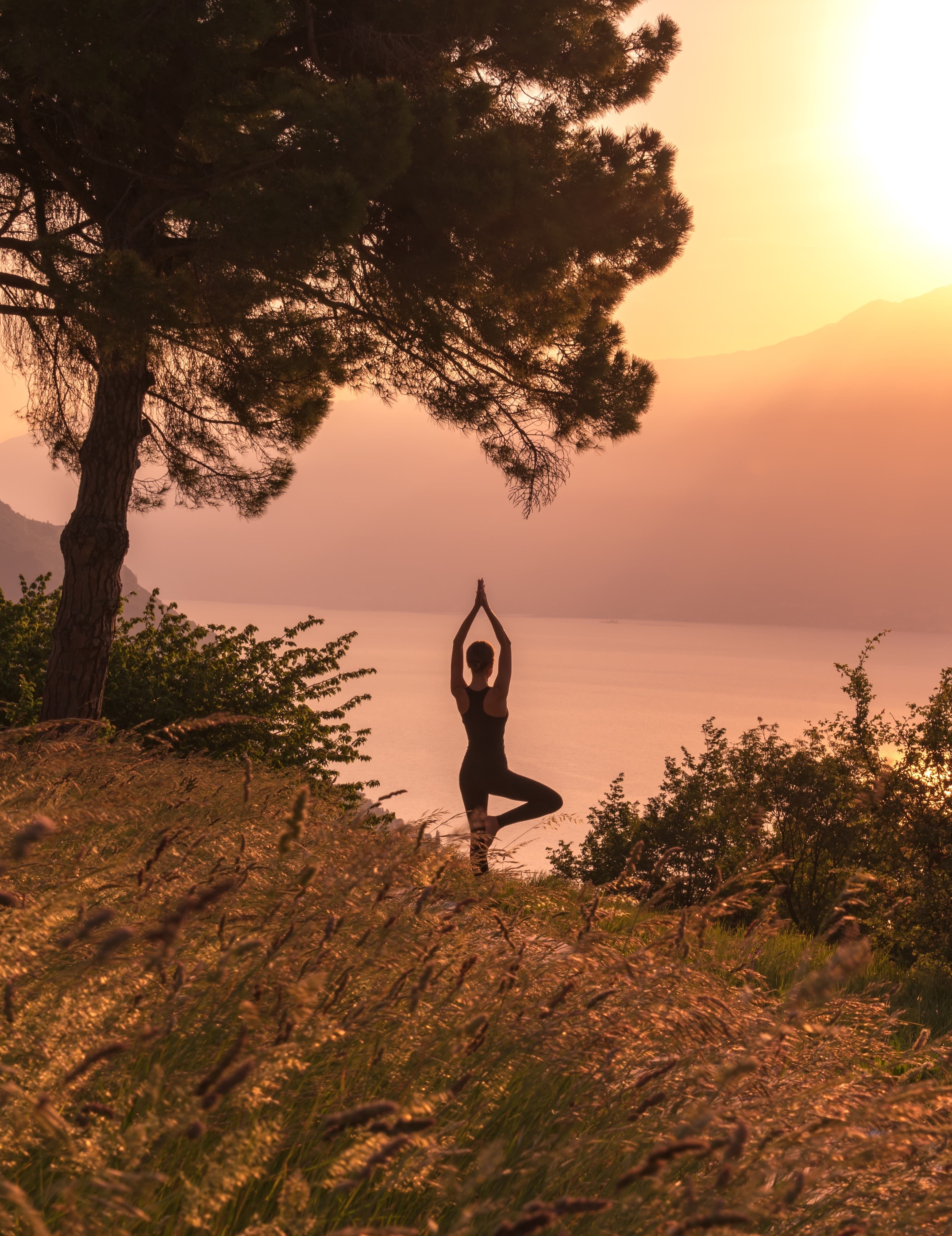 Qi-Gong, Meridian Stretching, Tai Chi Quan (private Einheiten)