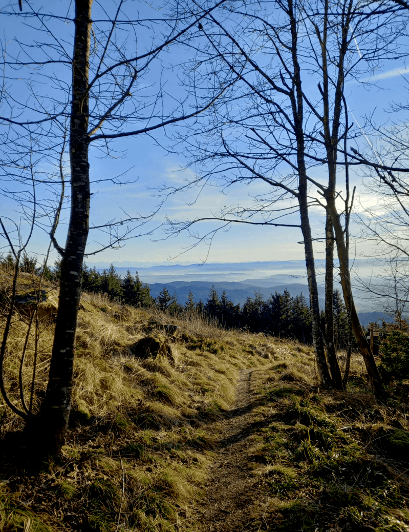 Wine and Hike