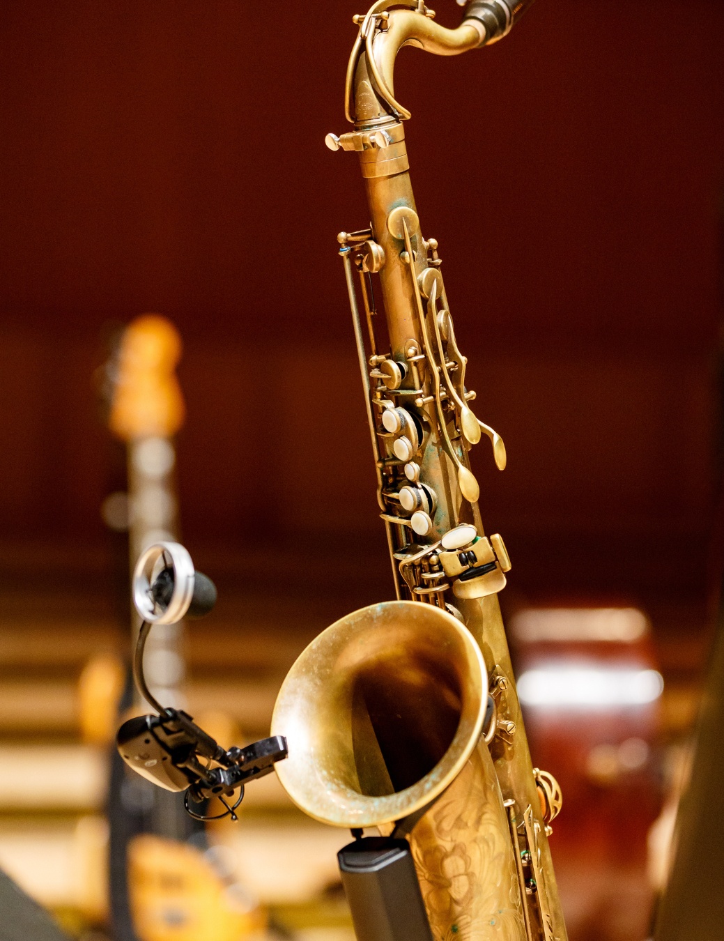 Summer concerts "Music in the Park image