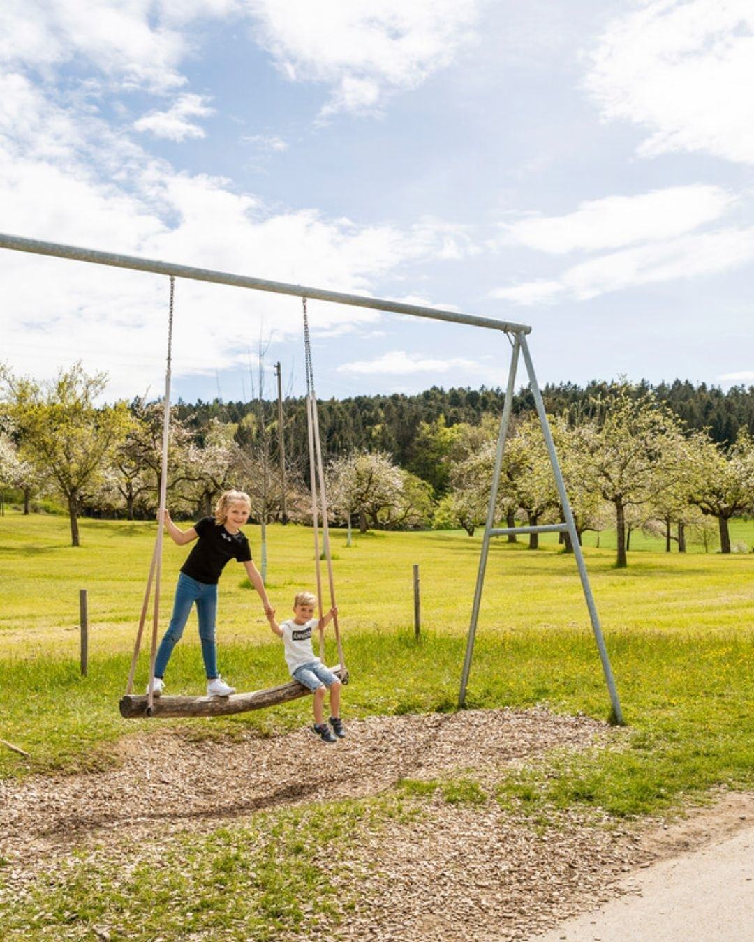 Bodensee-Guide-Tour "Naturentdeckungen auf dem Schaukelweg"