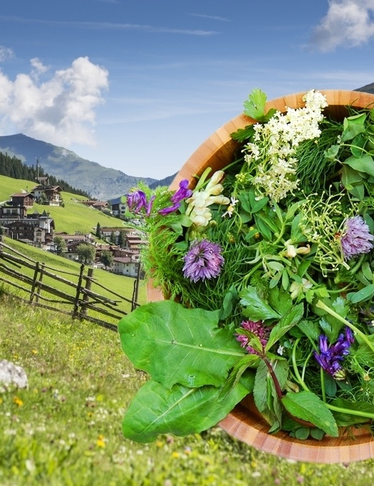 Wild herb walk in Tux