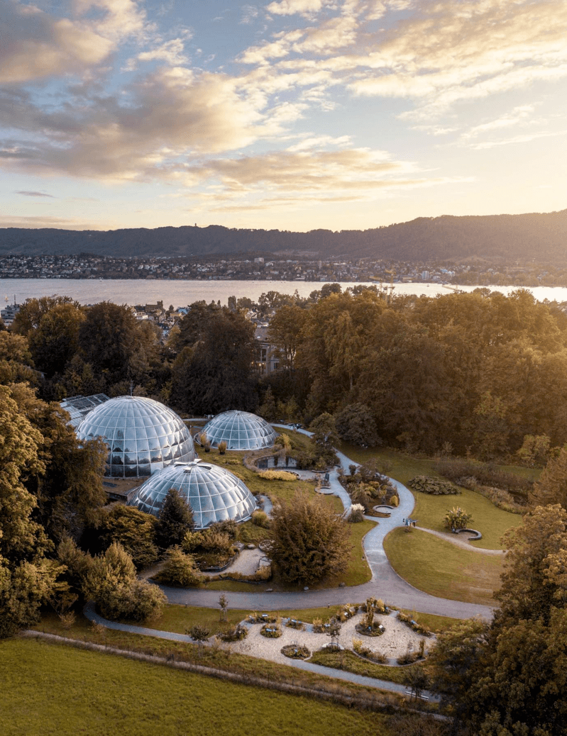 Botanischer Garten