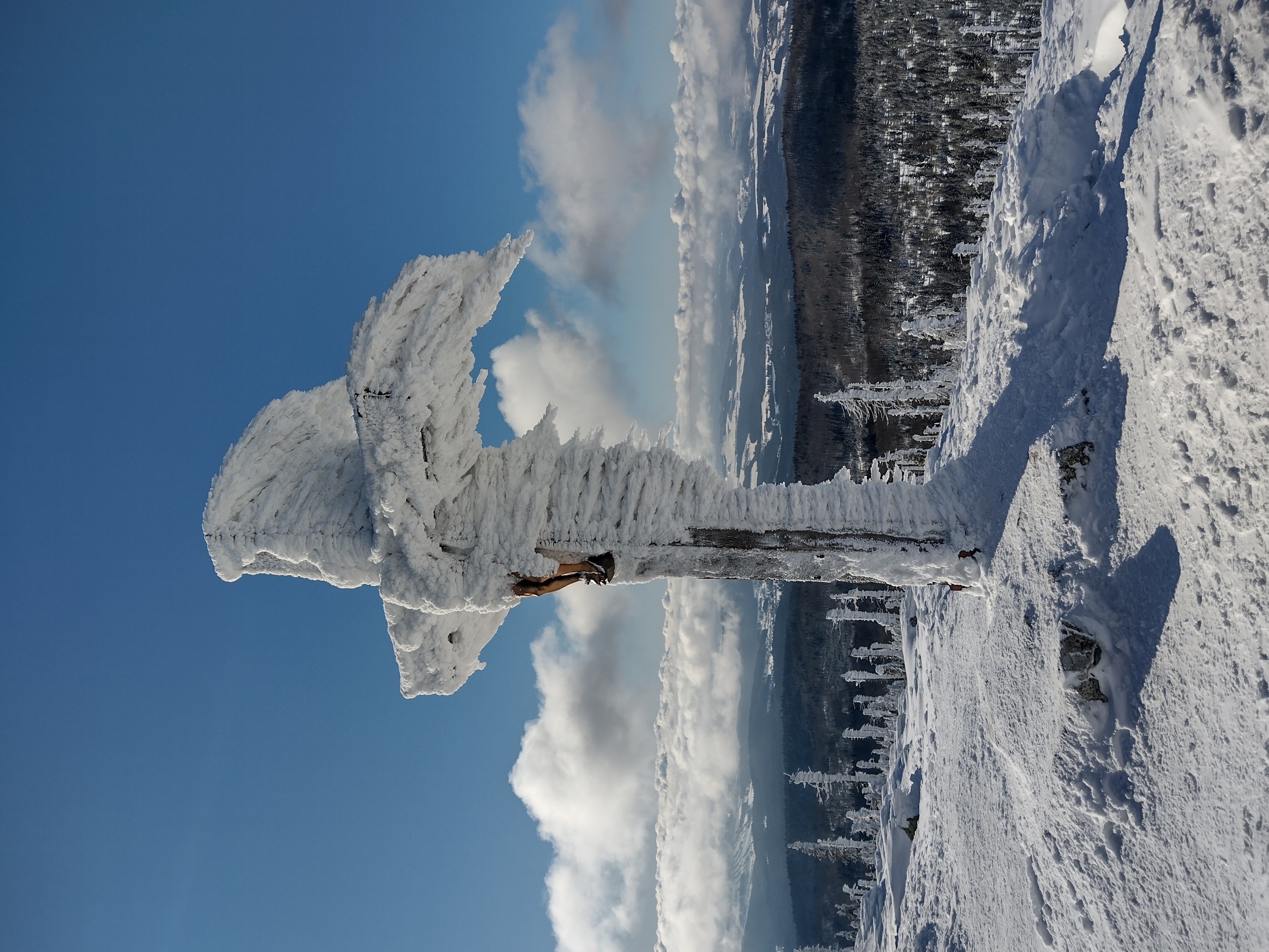 Winter hiking with a view of the Alps 