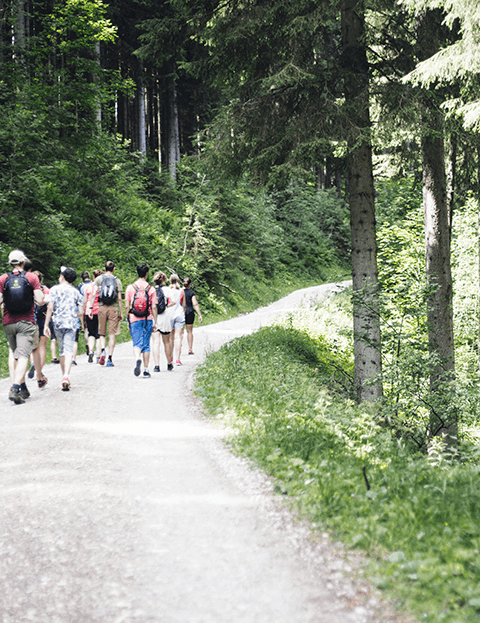 Auf was Sie als Kunde beim Kauf von Alpenaktiv Acht geben sollten!