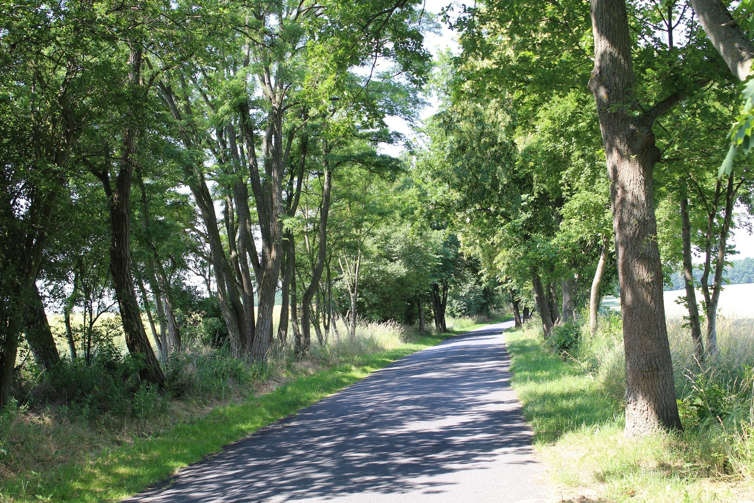 66 Seen-Wanderweg