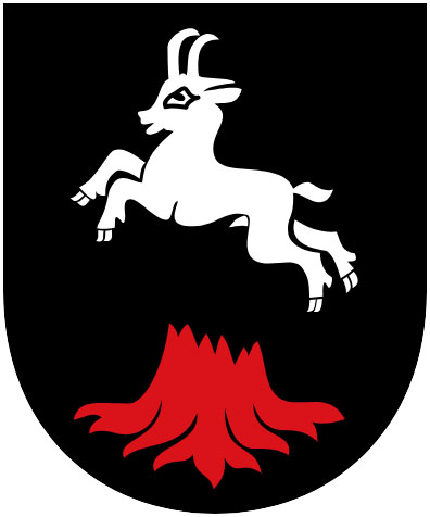 Luftgewehrschießen in Grän