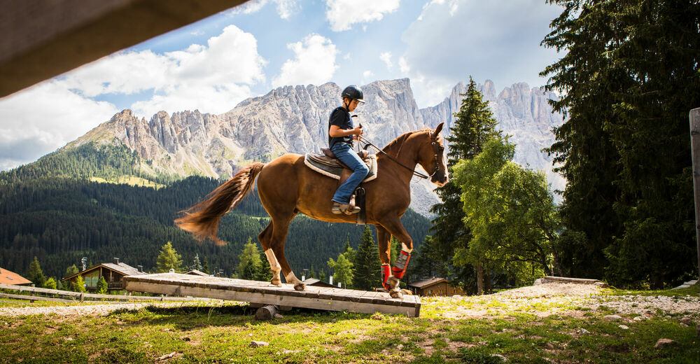 Angerlealm riding stables image