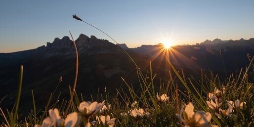 The early bird catches the worm - sunrise on the Latemar