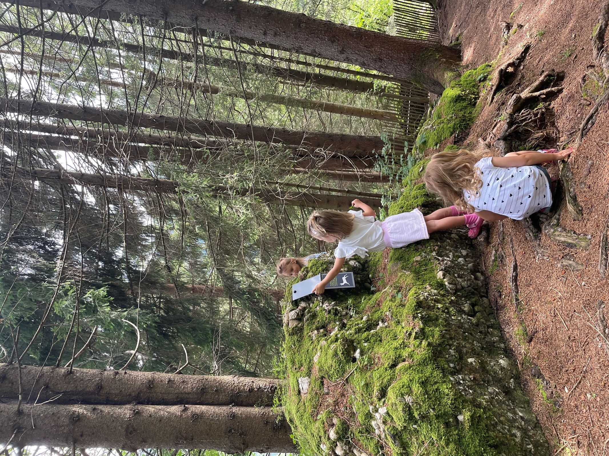 sich zit long - family hiking trail