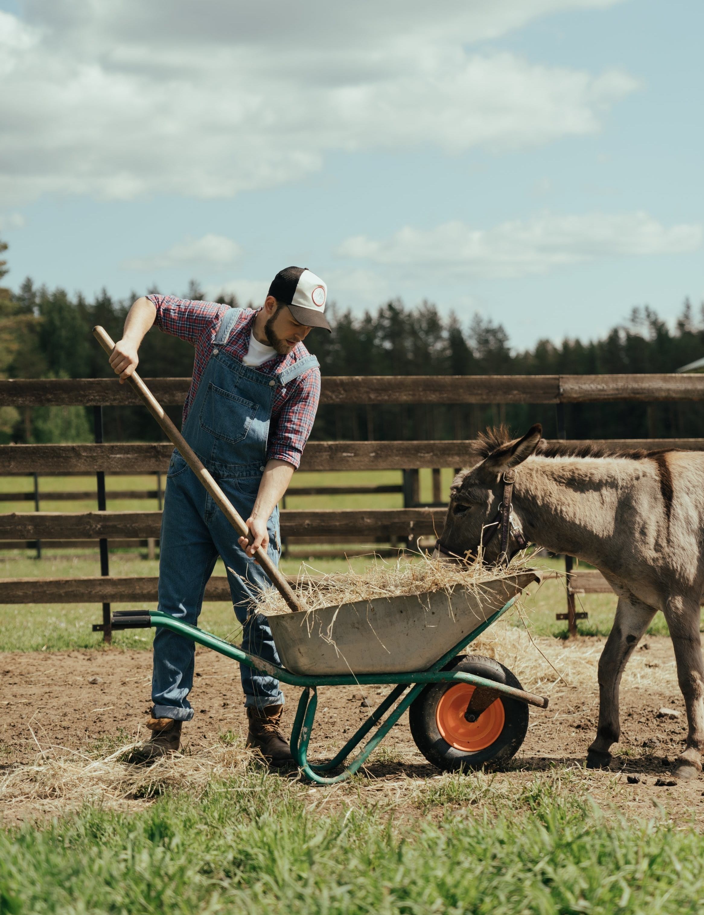 Farm beats with Martin. Experience country life live