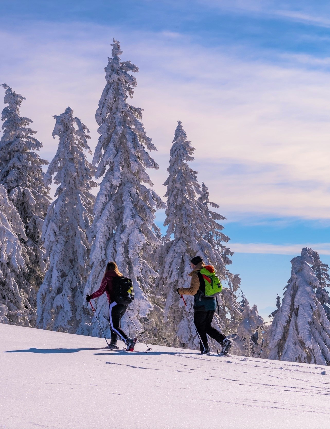 Snowshoeing in the district of Holz in Fröhnd image